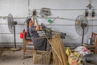 一個都不能少 他們在音符中致富